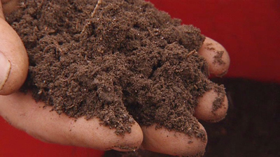 knowing what soil type you have will help you save water