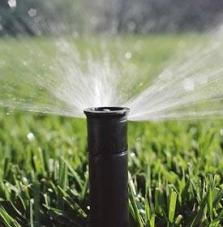 a newly installed sprinkler