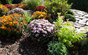 raised bed drip lines by Sprinkler Repair in Rancho Cordova